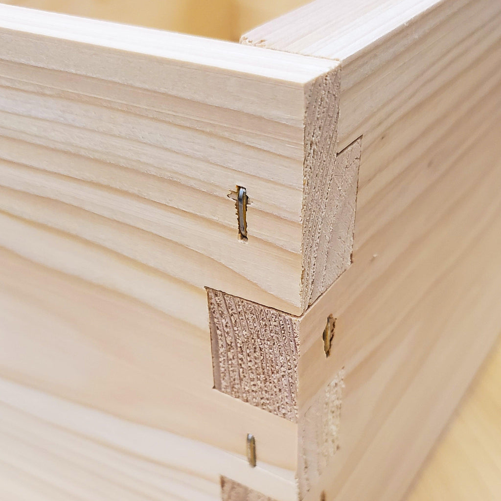 10-Frame Deep and Medium Box Hive Kit