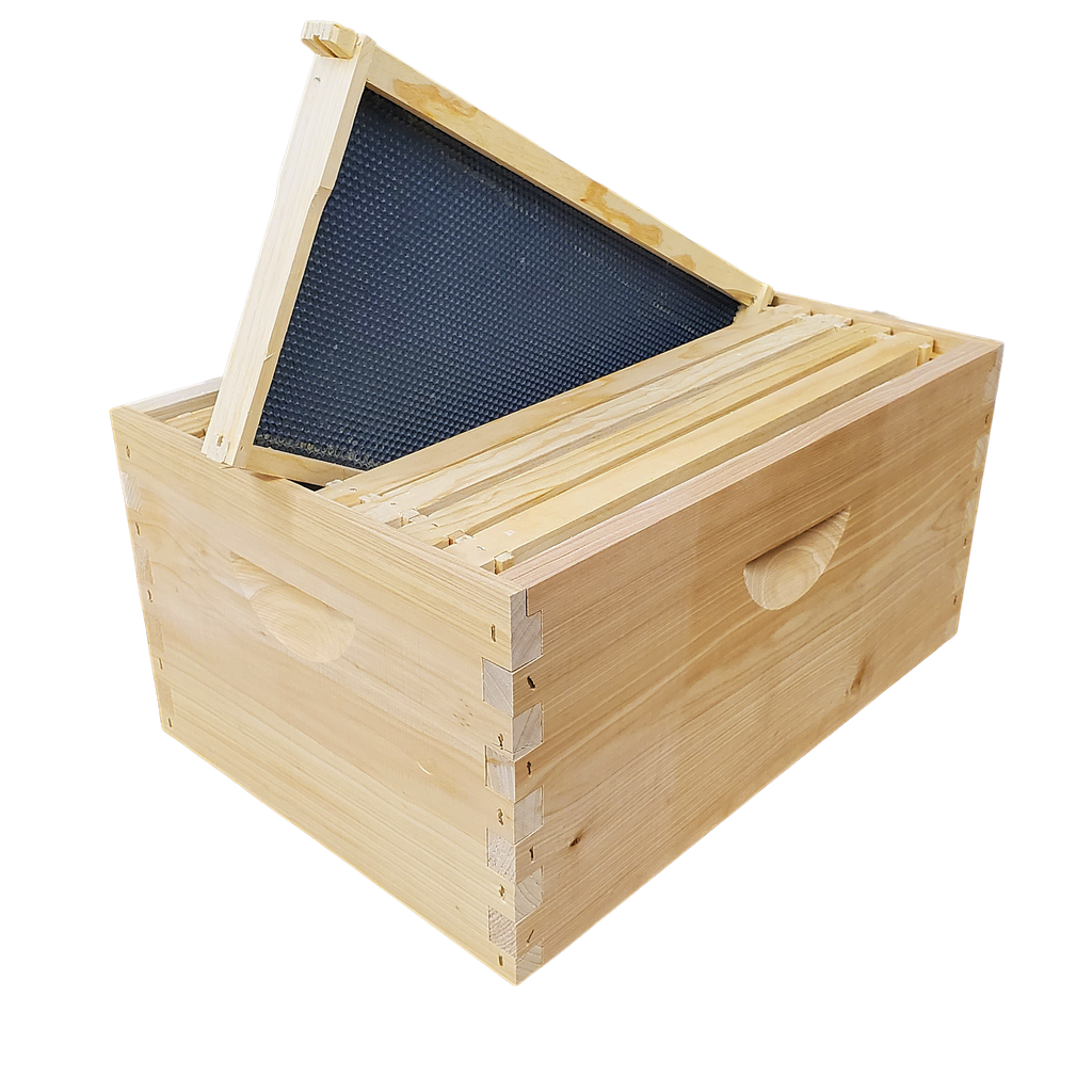 8-Frame Completed, Deep 9 5/8-inch Box with Frames and Foundation