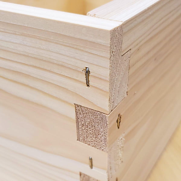 8-Frame All-Medium Box Hive Kit