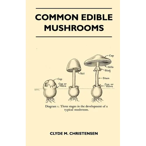 Common Edible Mushrooms