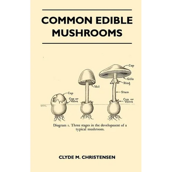 Common Edible Mushrooms