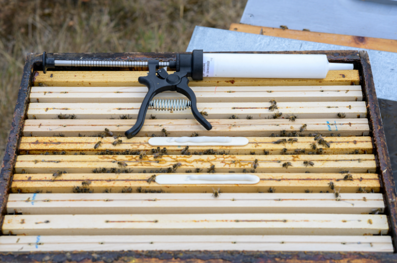 Amiflex Varroa Mite Treatment