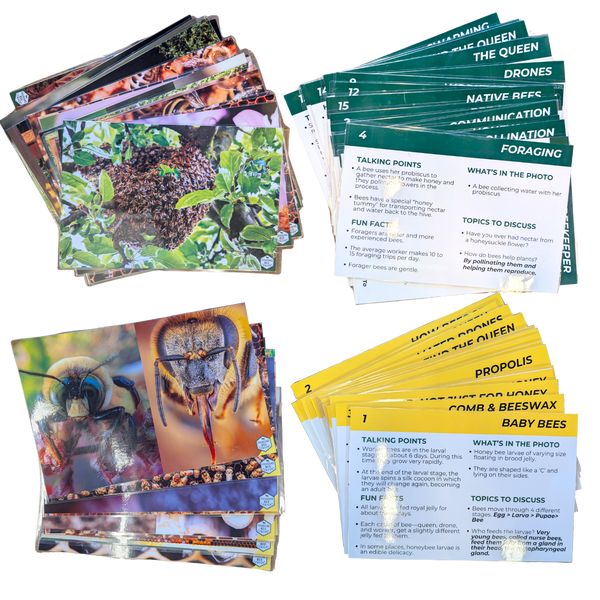 Educational Beekeeping Cards