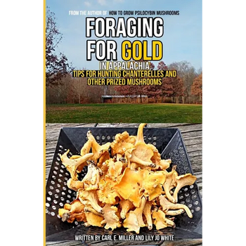 Foraging for Gold in Appalachia: Tips for Hunting Chanterelles and Other Prized Mushrooms