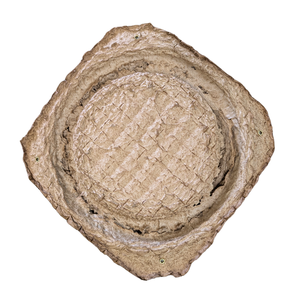 Swarm Trap - Pressed Flower Pot Style