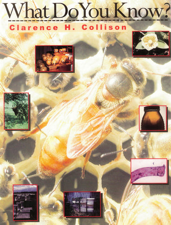 What Do You Know? Book