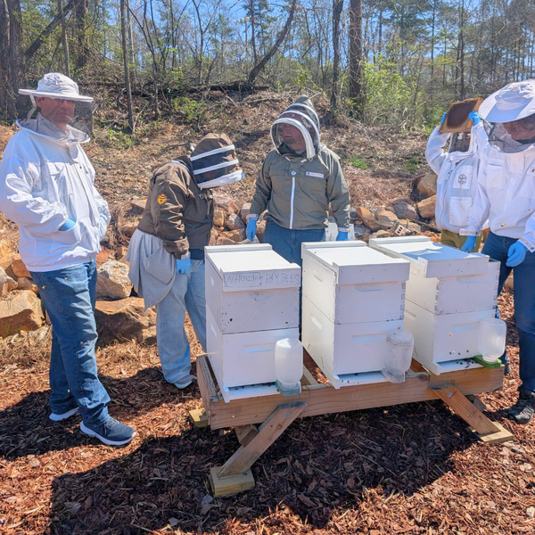 Bee School - One Day Class