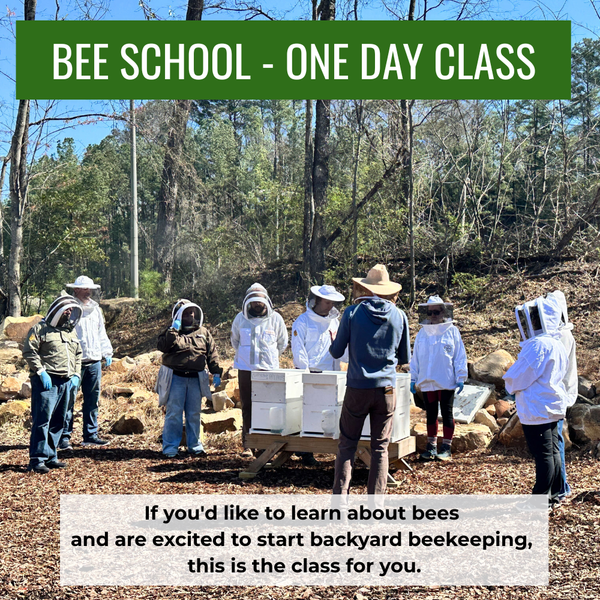 Bee School - One Day Class
