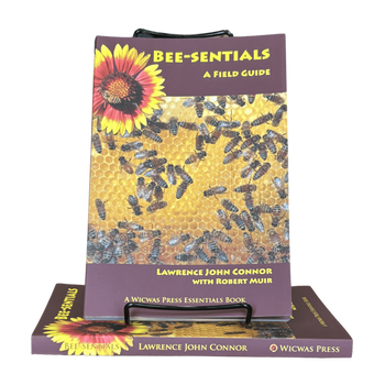 Bee-sentials - Beginner Book