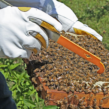 J Hook Orange Hive Tool