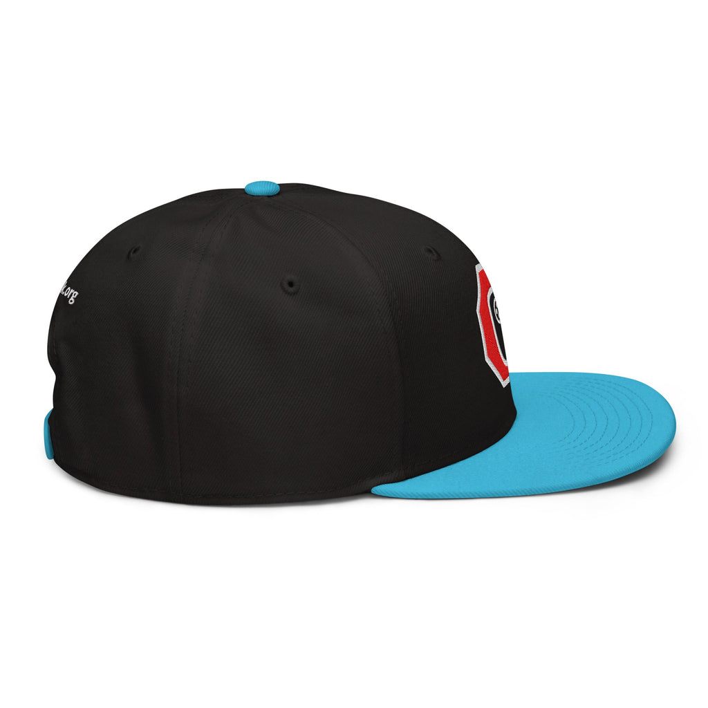 Stop Flock - deflock.me Snapback Hat