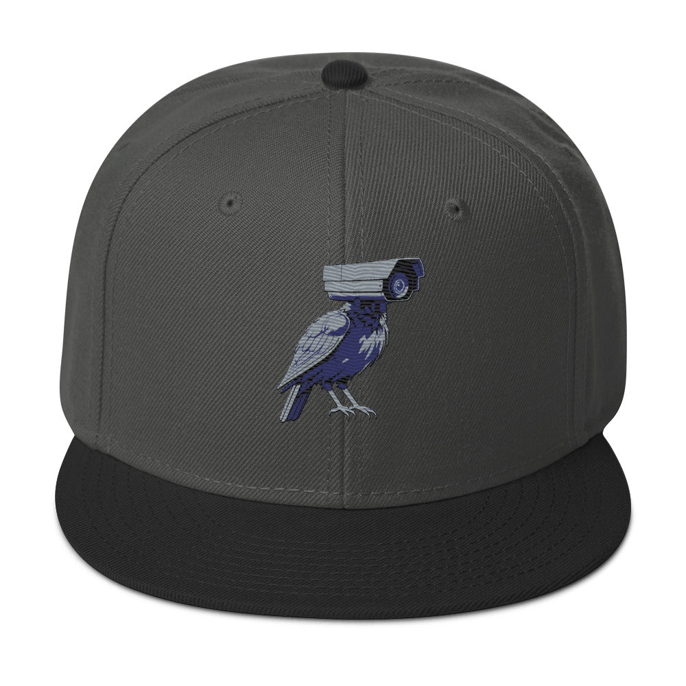 deflock.me logo Snapback Hat
