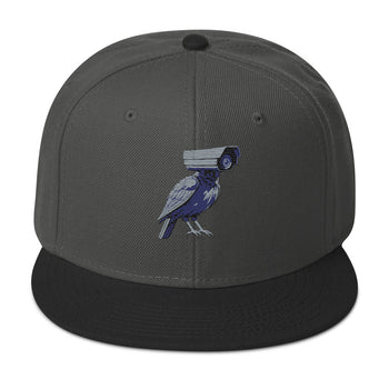 deflock.me logo Snapback Hat