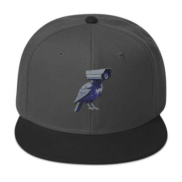 deflock.me logo Snapback Hat