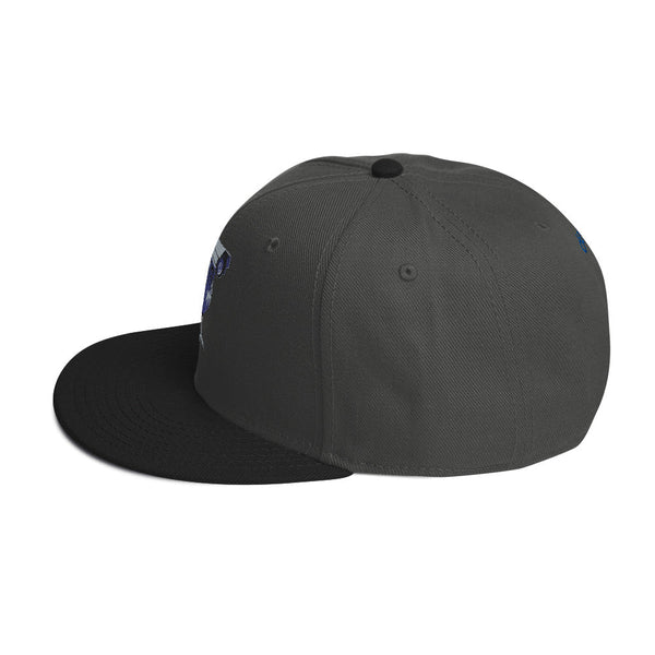 deflock.me logo Snapback Hat