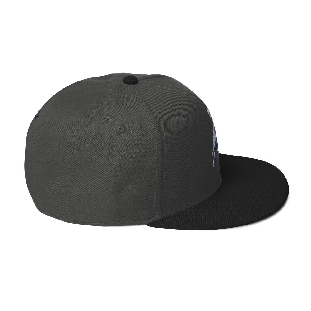 deflock.me logo Snapback Hat