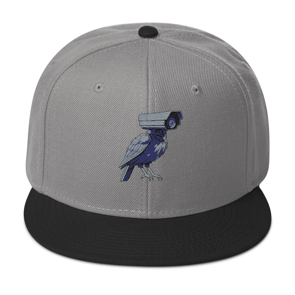 deflock.me logo Snapback Hat