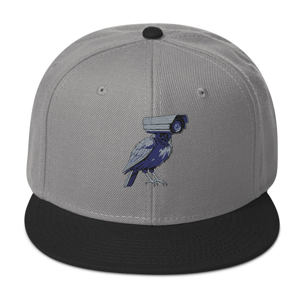 deflock.me logo Snapback Hat