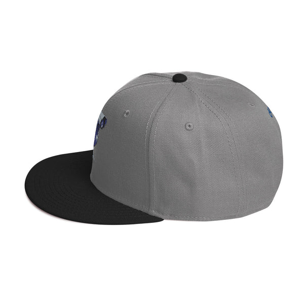 deflock.me logo Snapback Hat