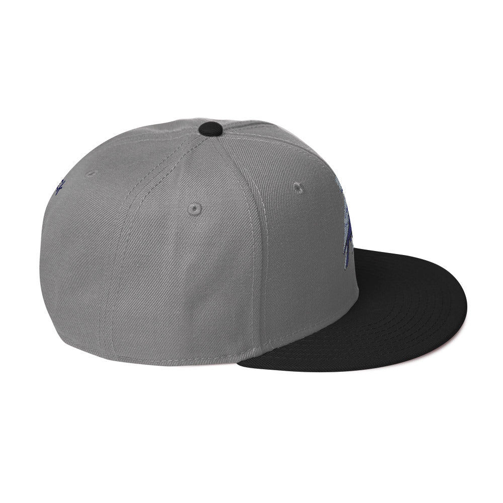 deflock.me logo Snapback Hat