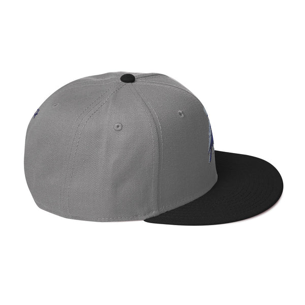 deflock.me logo Snapback Hat