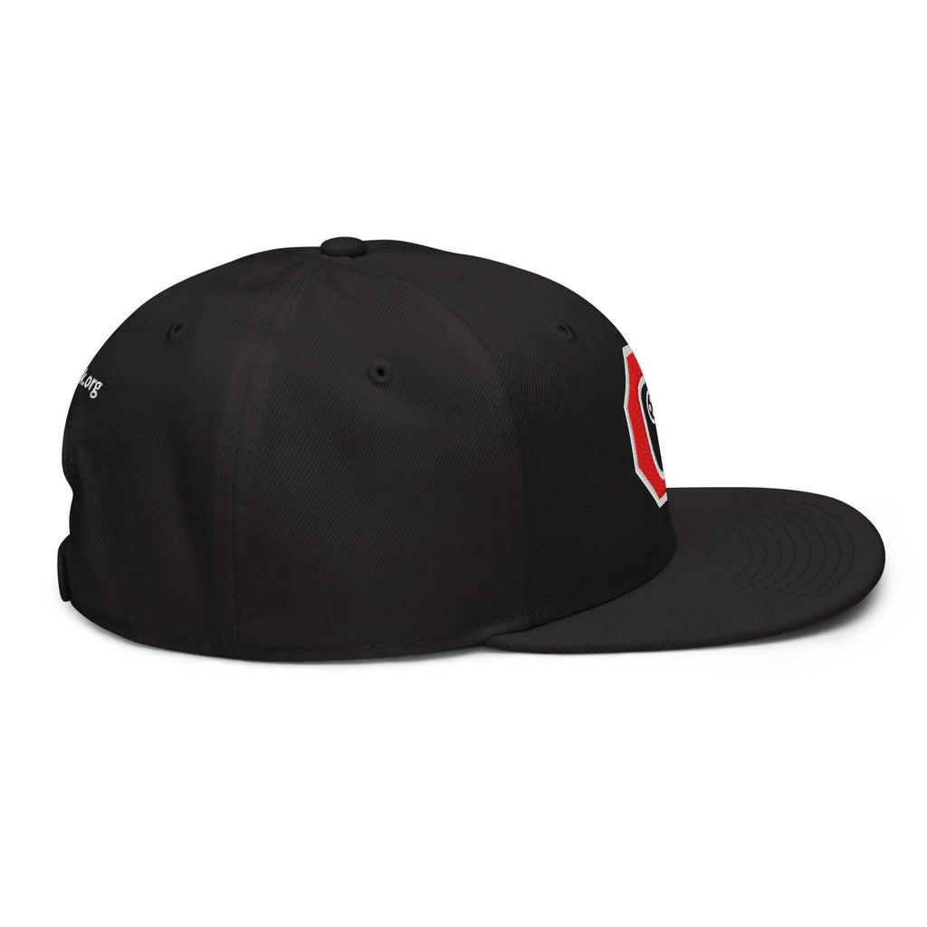 Stop Flock - deflock.me Snapback Hat