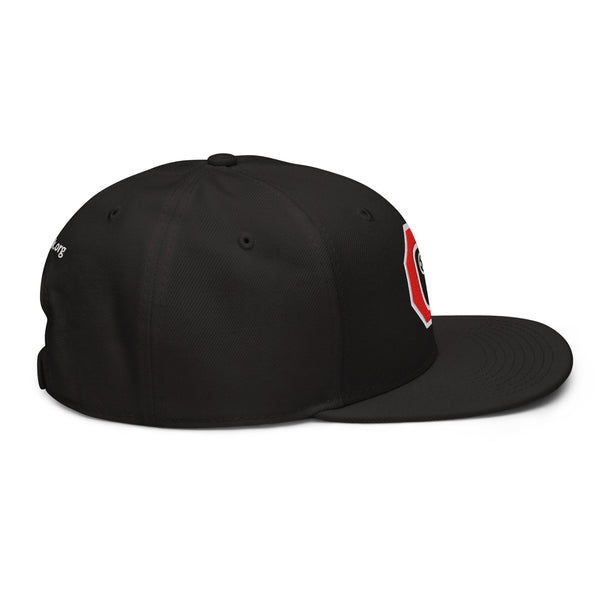 Stop Flock - deflock.me Snapback Hat