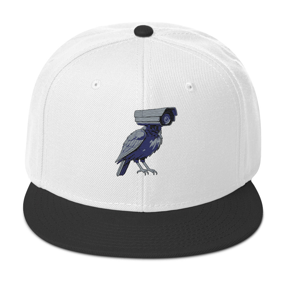 deflock.me logo Snapback Hat