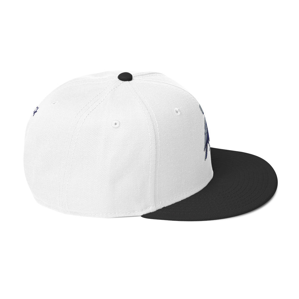 deflock.me logo Snapback Hat