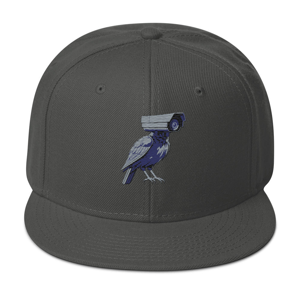 deflock.me logo Snapback Hat