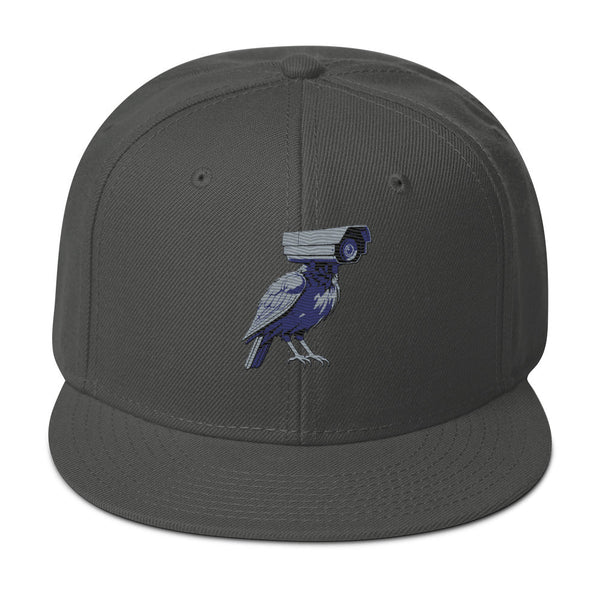 deflock.me logo Snapback Hat