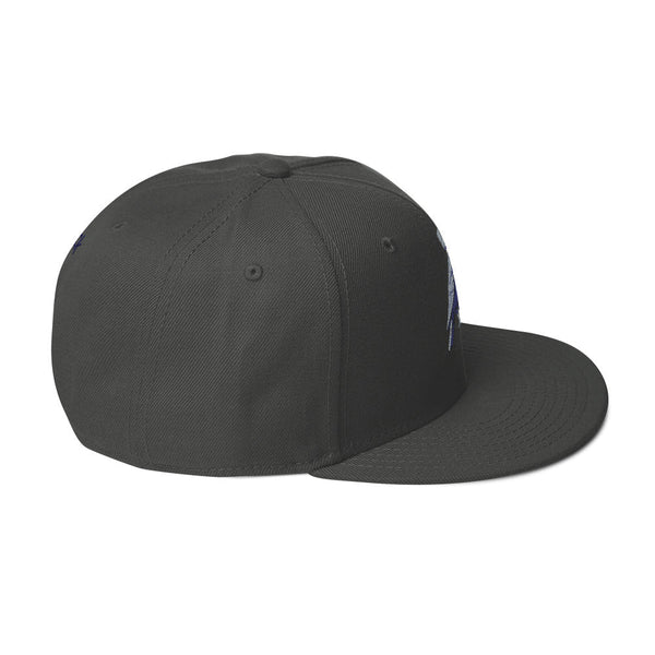 deflock.me logo Snapback Hat