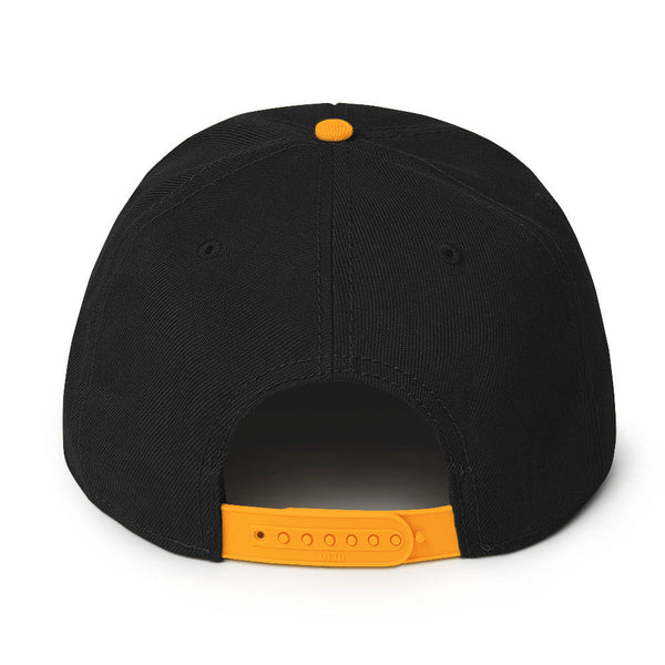 Surveillance isn't Safety - NOALPRS.com Snapback Hat