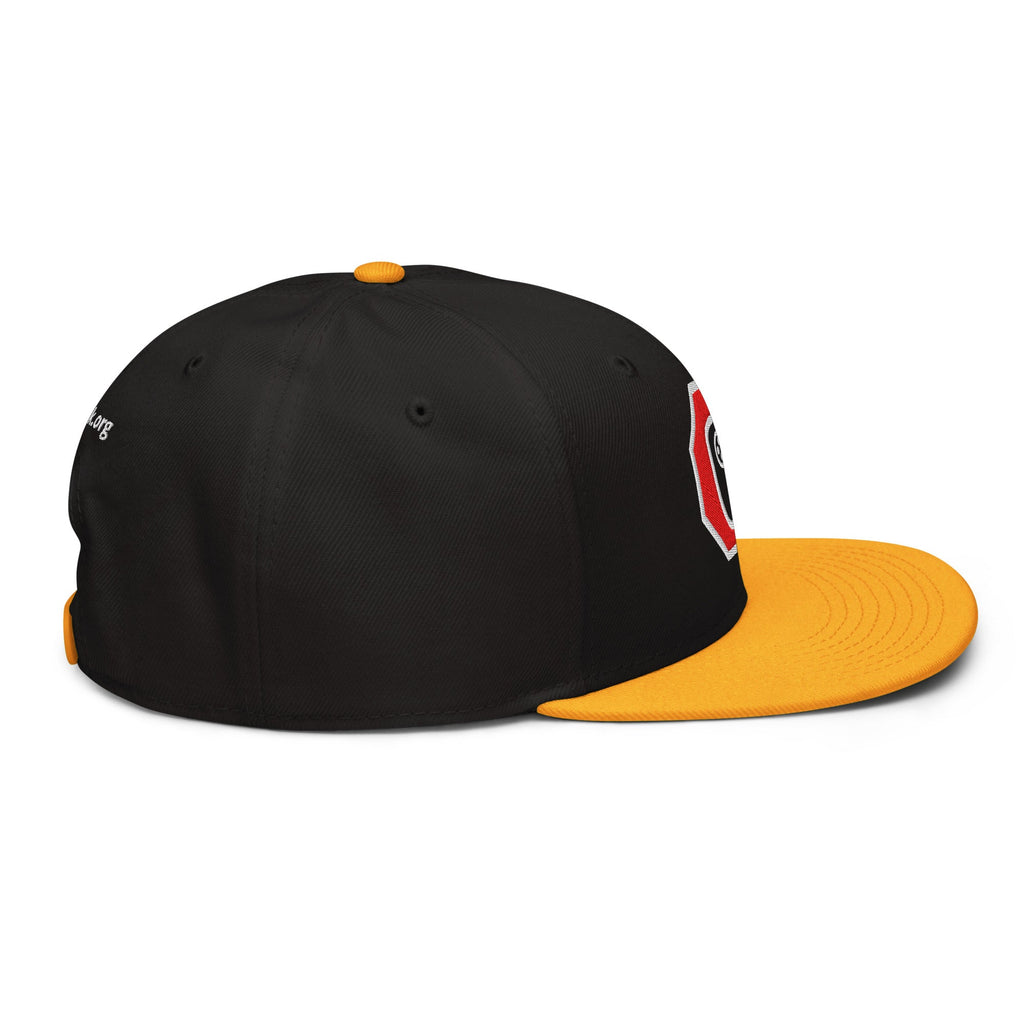 Stop Flock - deflock.me Snapback Hat
