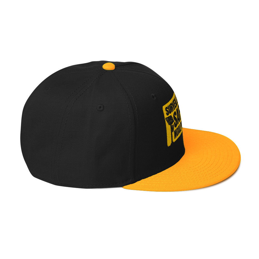 Surveillance isn't Safety - NOALPRS.com Snapback Hat