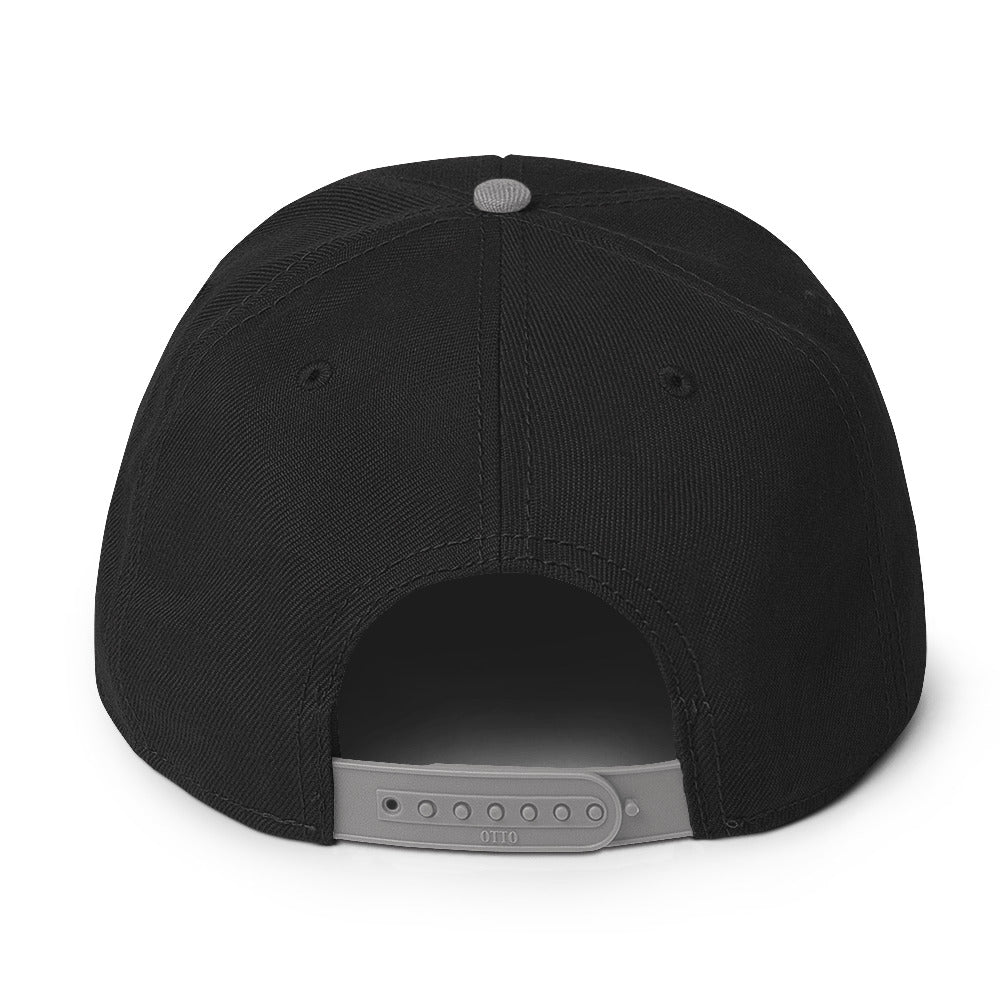 Surveillance isn't Safety - NOALPRS.com Snapback Hat