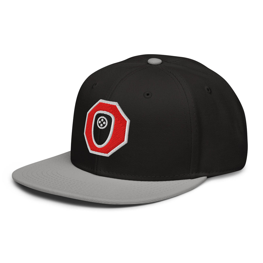 Stop Flock - deflock.me Snapback Hat
