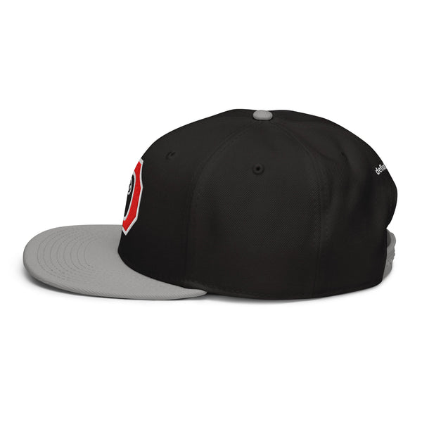 Stop Flock - deflock.me Snapback Hat