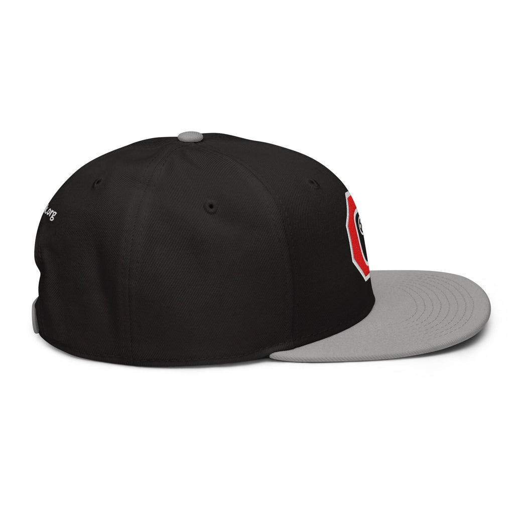 Stop Flock - deflock.me Snapback Hat