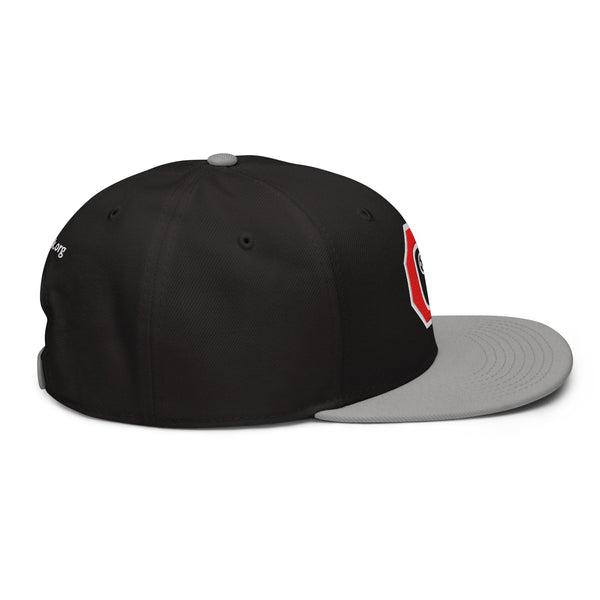 Stop Flock - deflock.me Snapback Hat