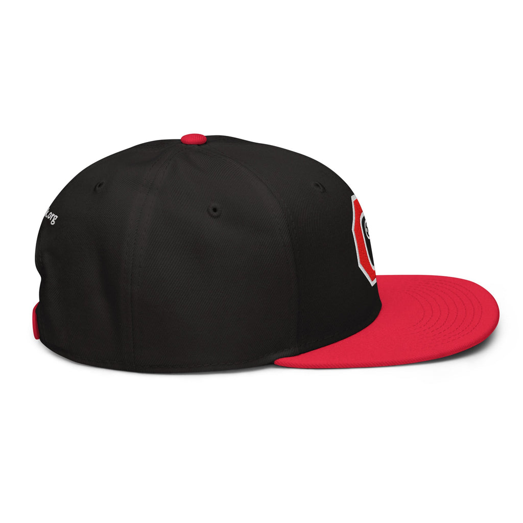 Stop Flock - deflock.me Snapback Hat