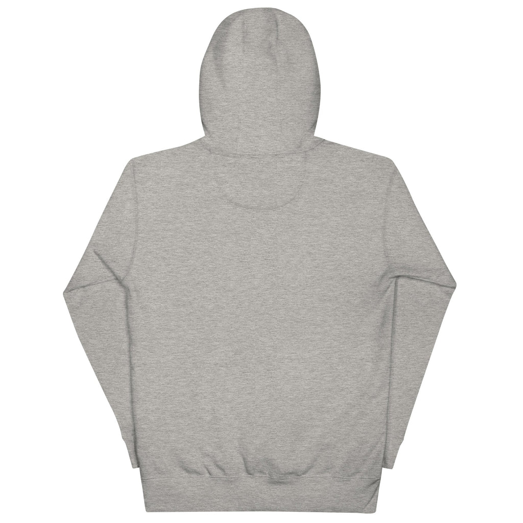 Your local government spies on you - deflock.me Hoodie