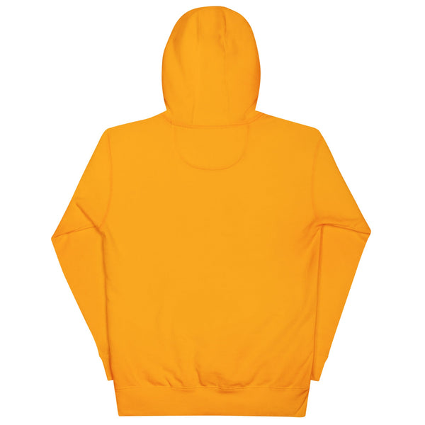 Your local government spies on you - deflock.me Hoodie