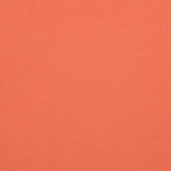 Mushmore Highly Meditated Unisex t-shirt